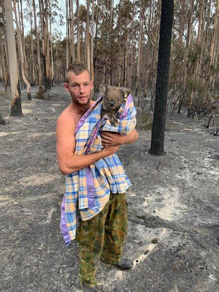 chú gấu koala được lính cứu hoả bồng trên tay sau đám cháy lớn