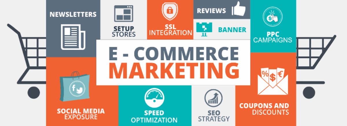 Các yếu tố trong ecommerce marketing: newsletter, social media, thời gian tối ưu, chiến lược SEO, CPP của campaign, ưu đãi