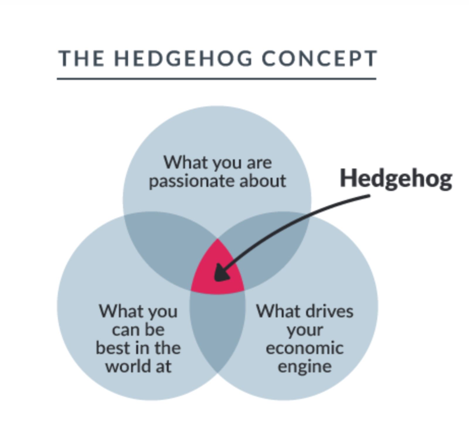 Framework lấy ý tưởng từ Thuyết “con nhím” (The Hedgehog Concept) 
